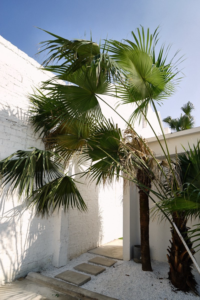 棕榈泉别墅外景